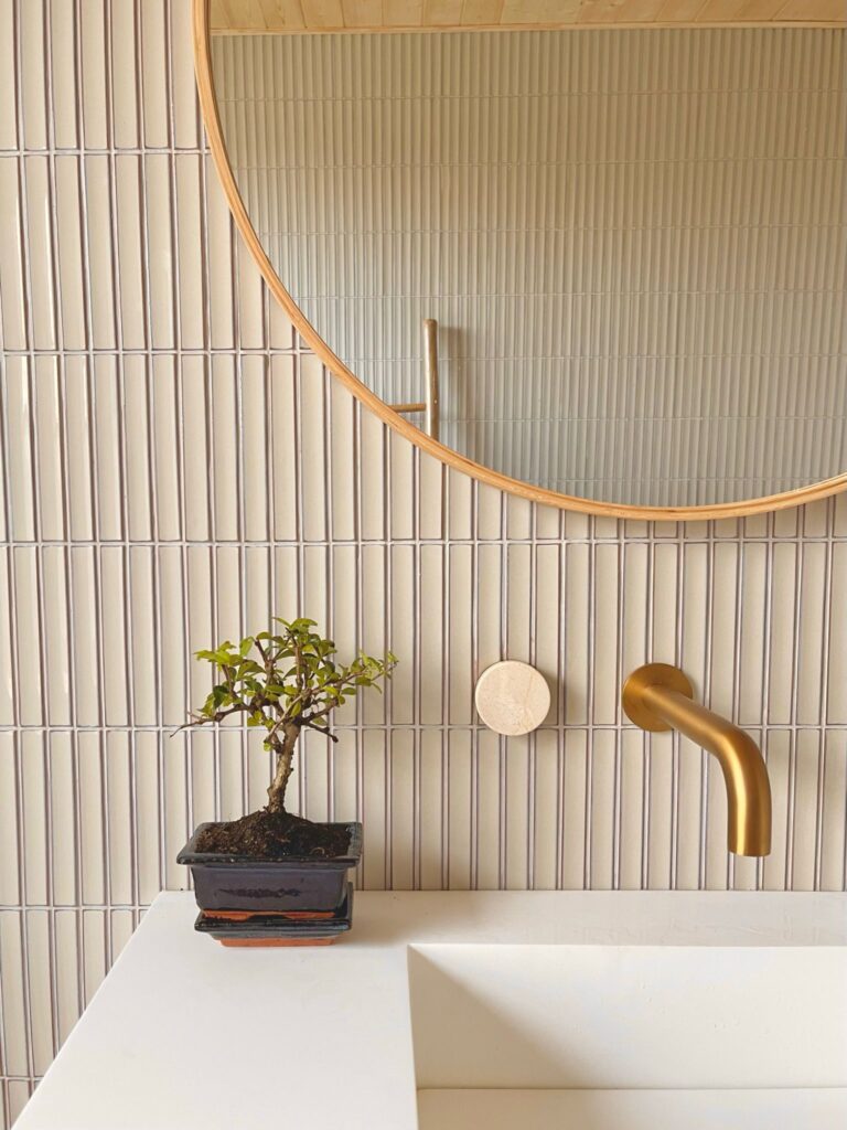 A small potted plant on a white counter, with a round mirror and gold faucet above.