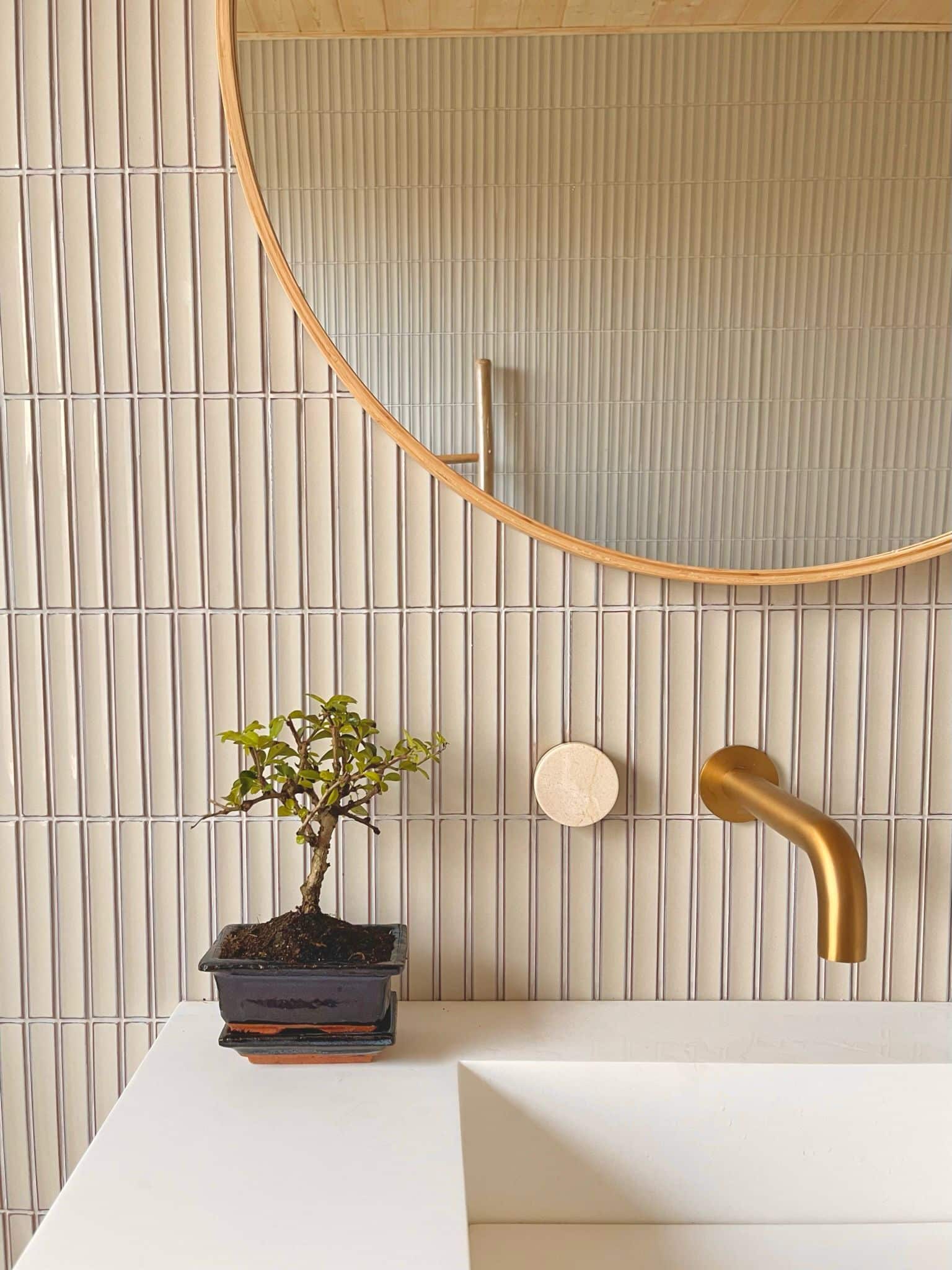 A small potted plant on a white counter, with a round mirror and gold faucet above.