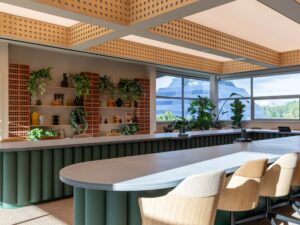 Modern office space with plants, large windows, and a long table with chairs.