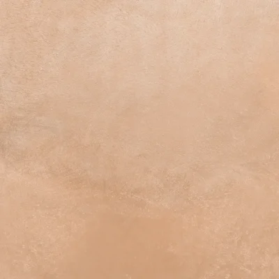 Terra